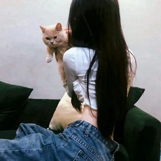 春画先生